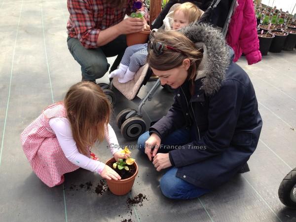 Planting flower