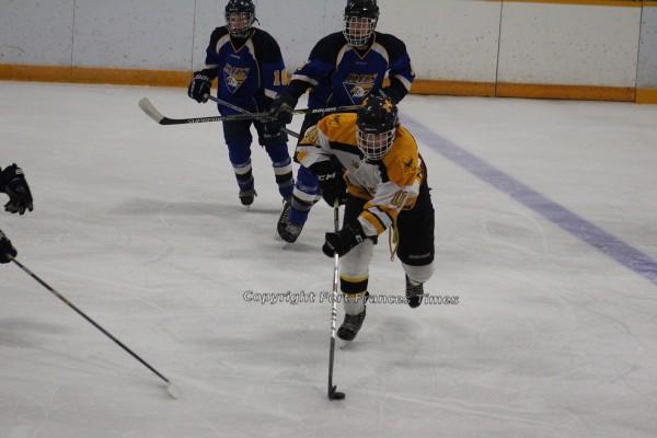 Puck control