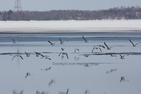 Sign of spring?
