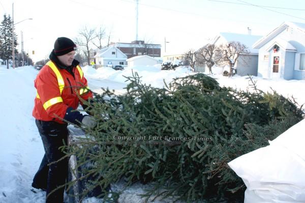 Tree pick-up