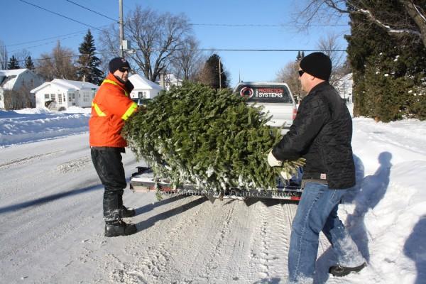 Tree pick-up