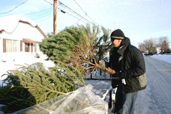 Christmas clean-up
