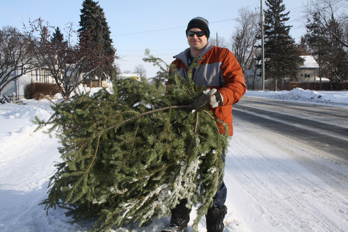Collecting tree