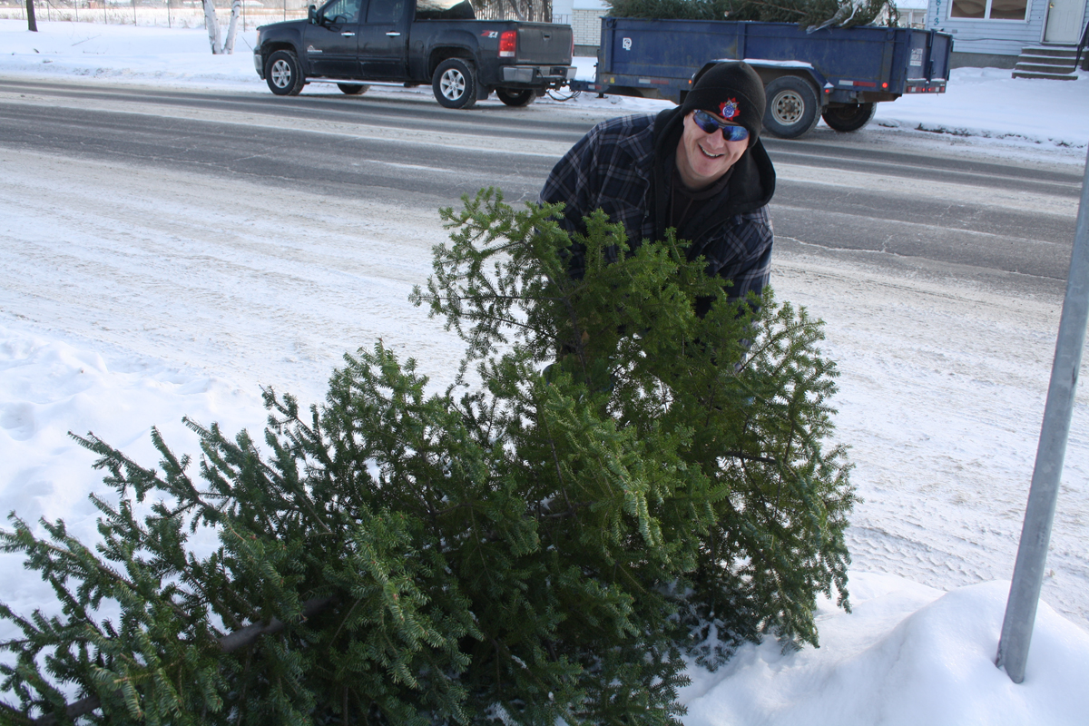 Tree pick-up