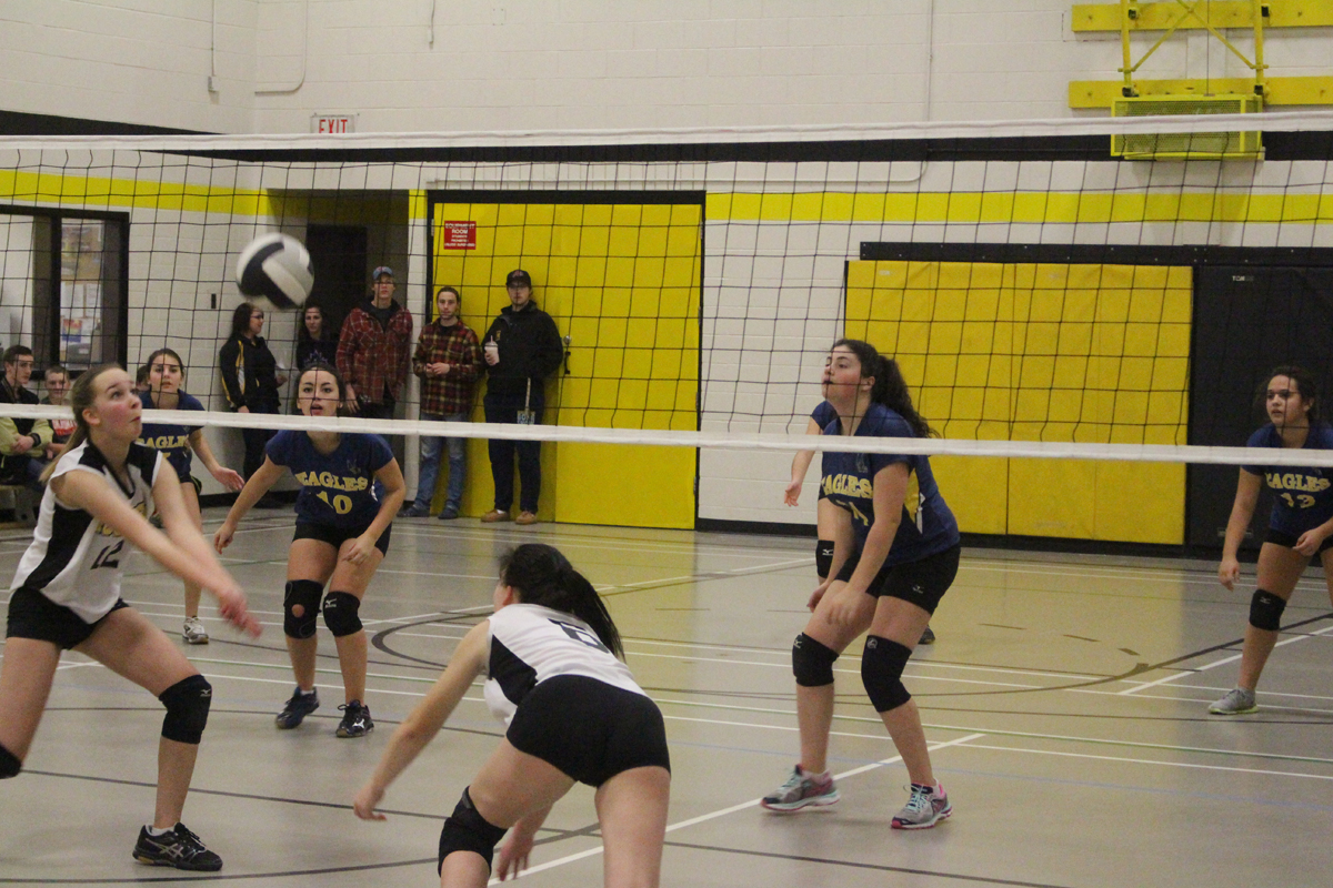 Volleyball action