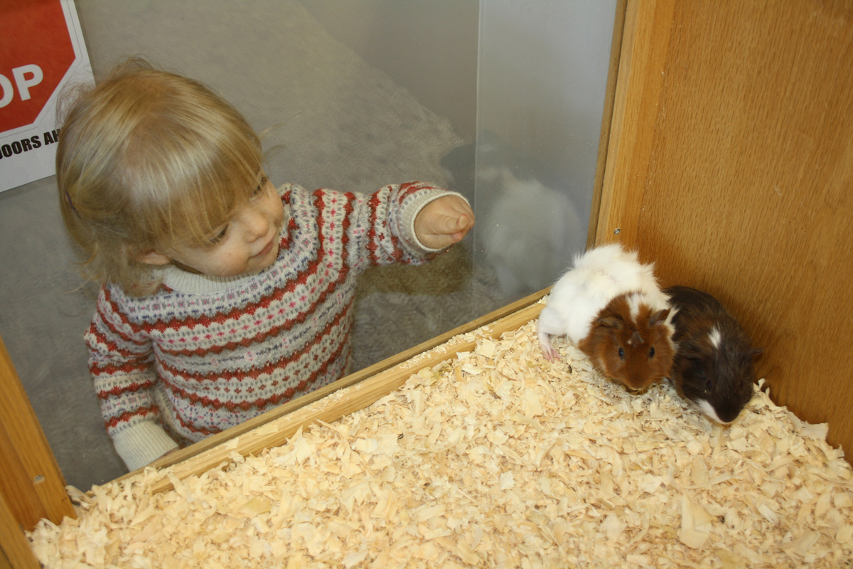 Furry friends