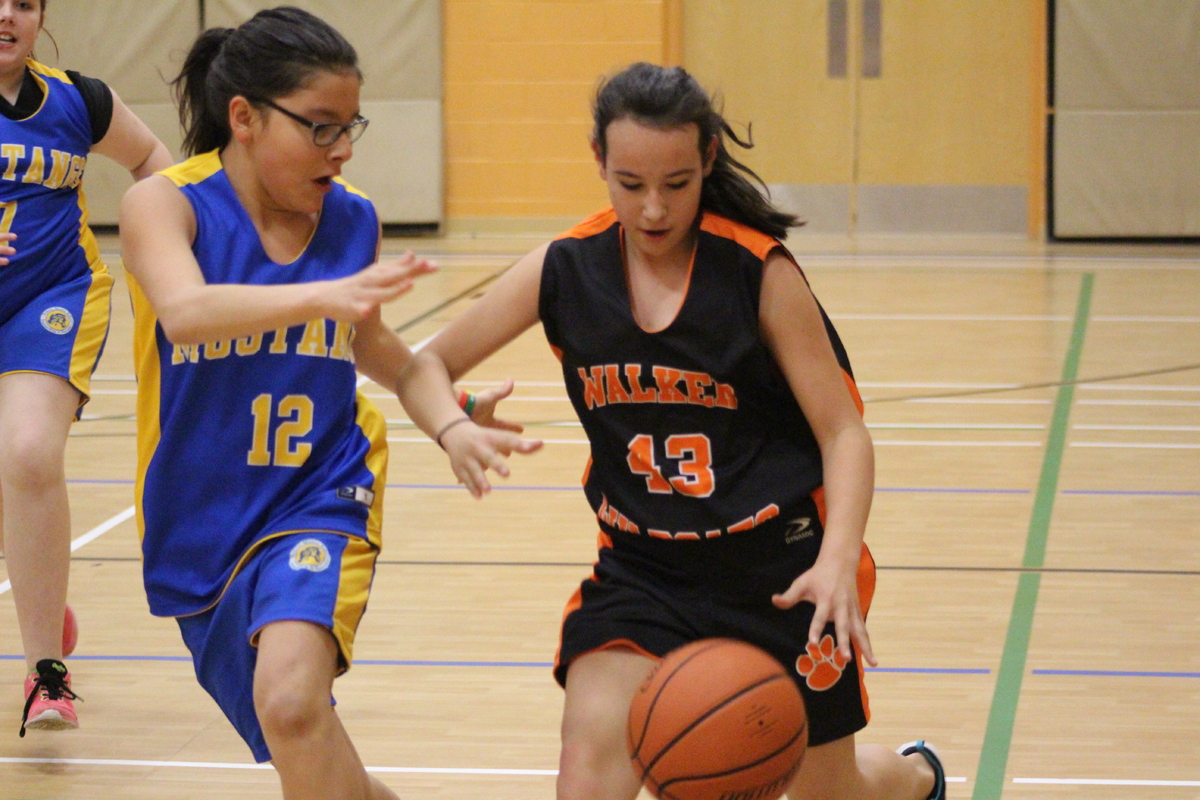 Hoops action
