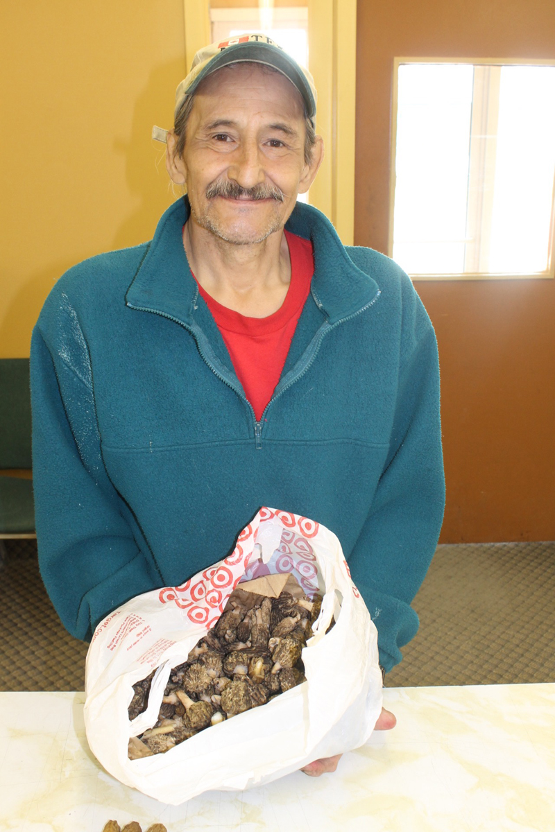 Mushroom harvest