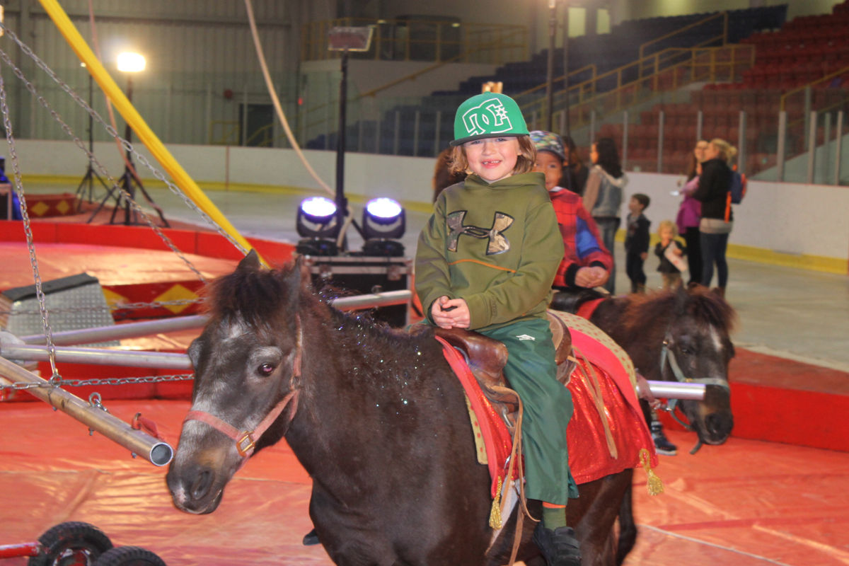 Pony ride