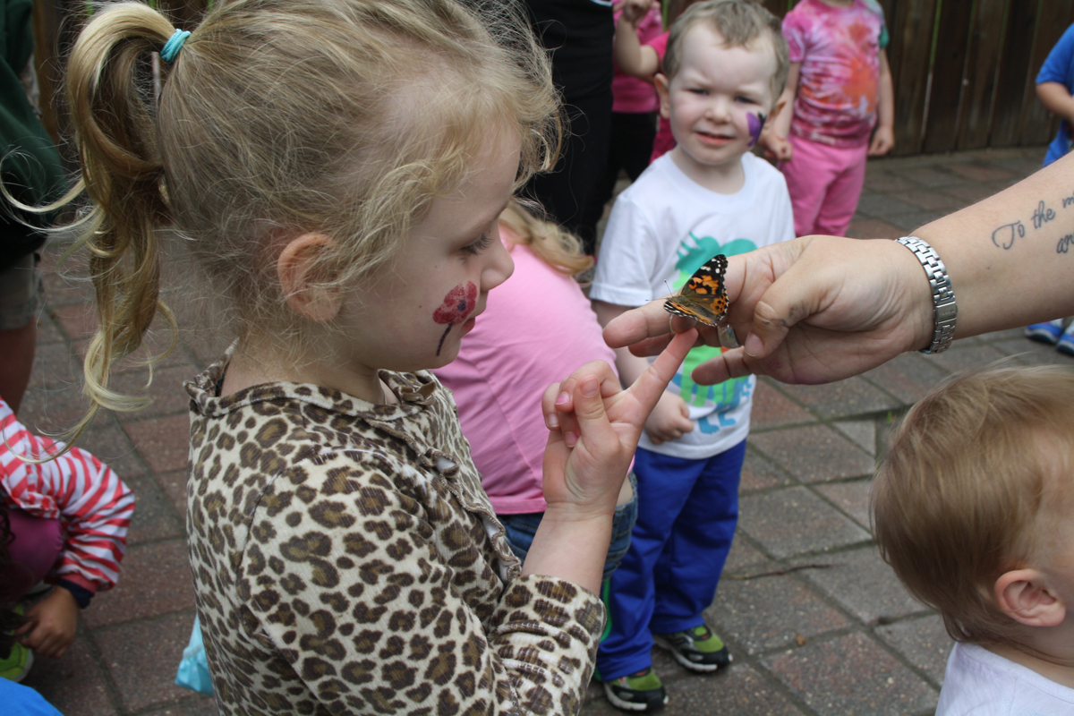 Butterfly release
