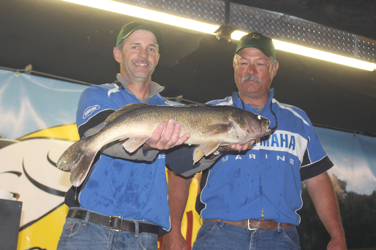 Lunker walleye