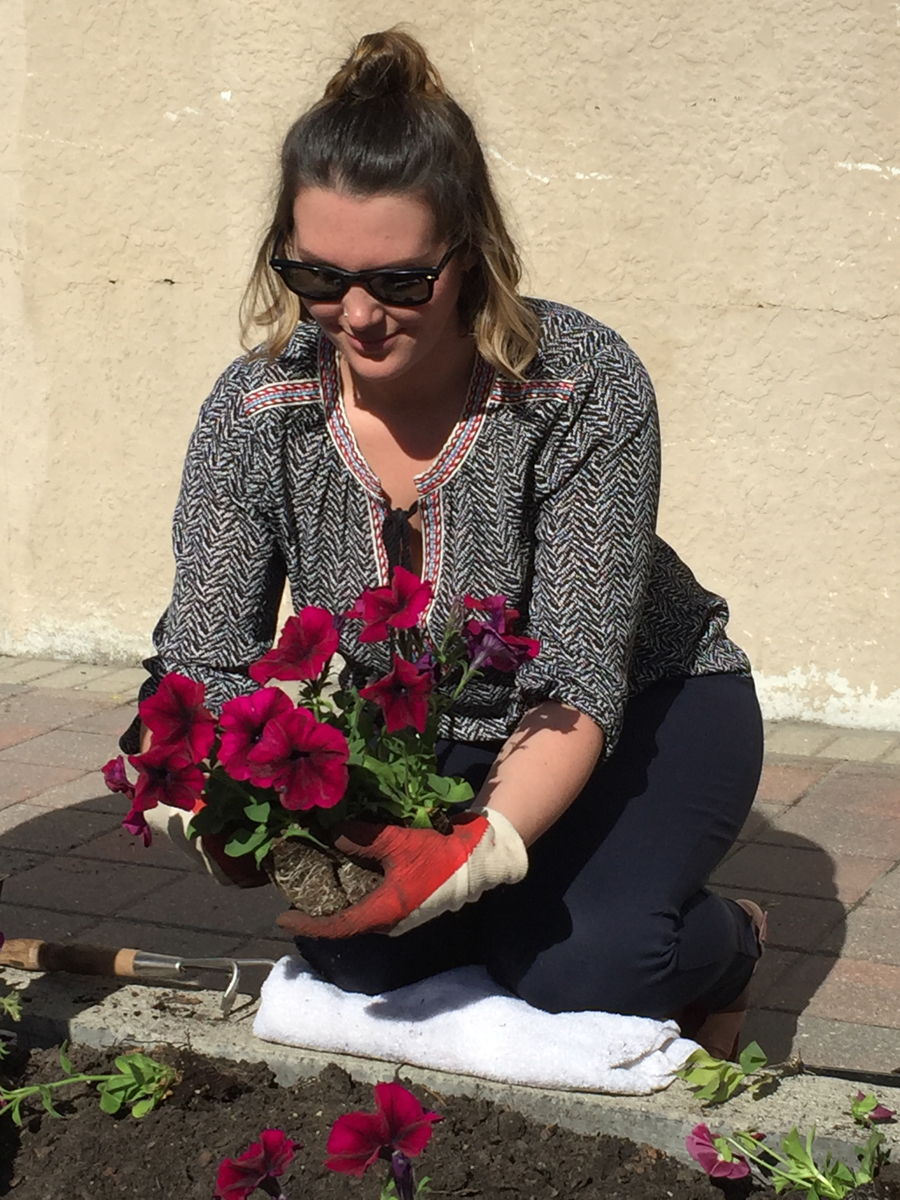 Planting flowers
