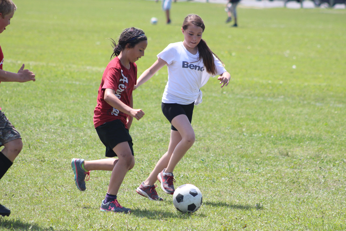 Tourney action