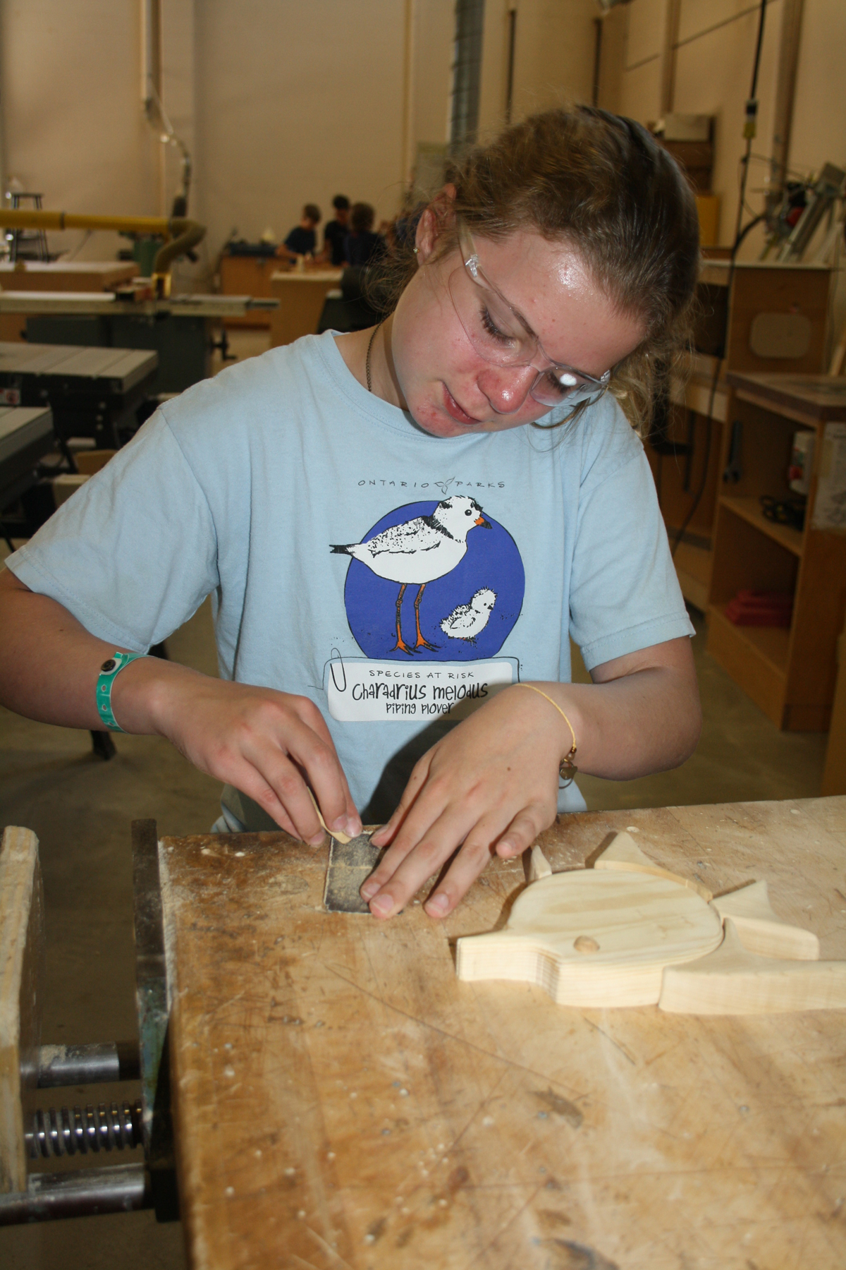 Sanding project