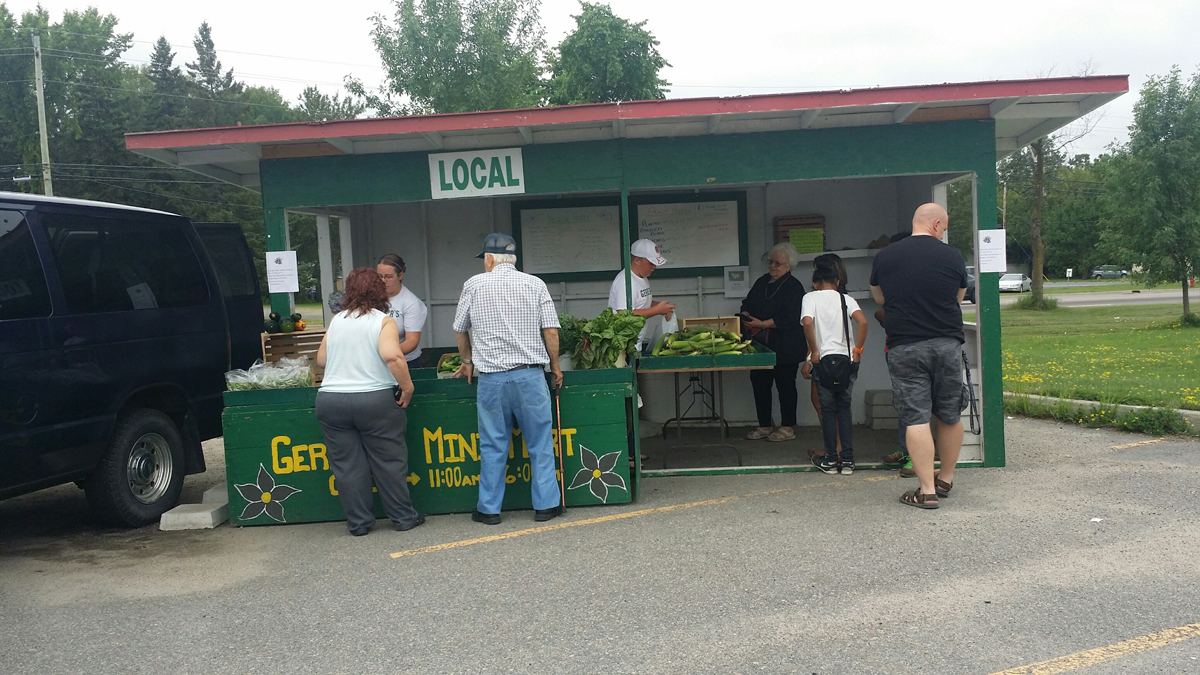 Fresh veggies
