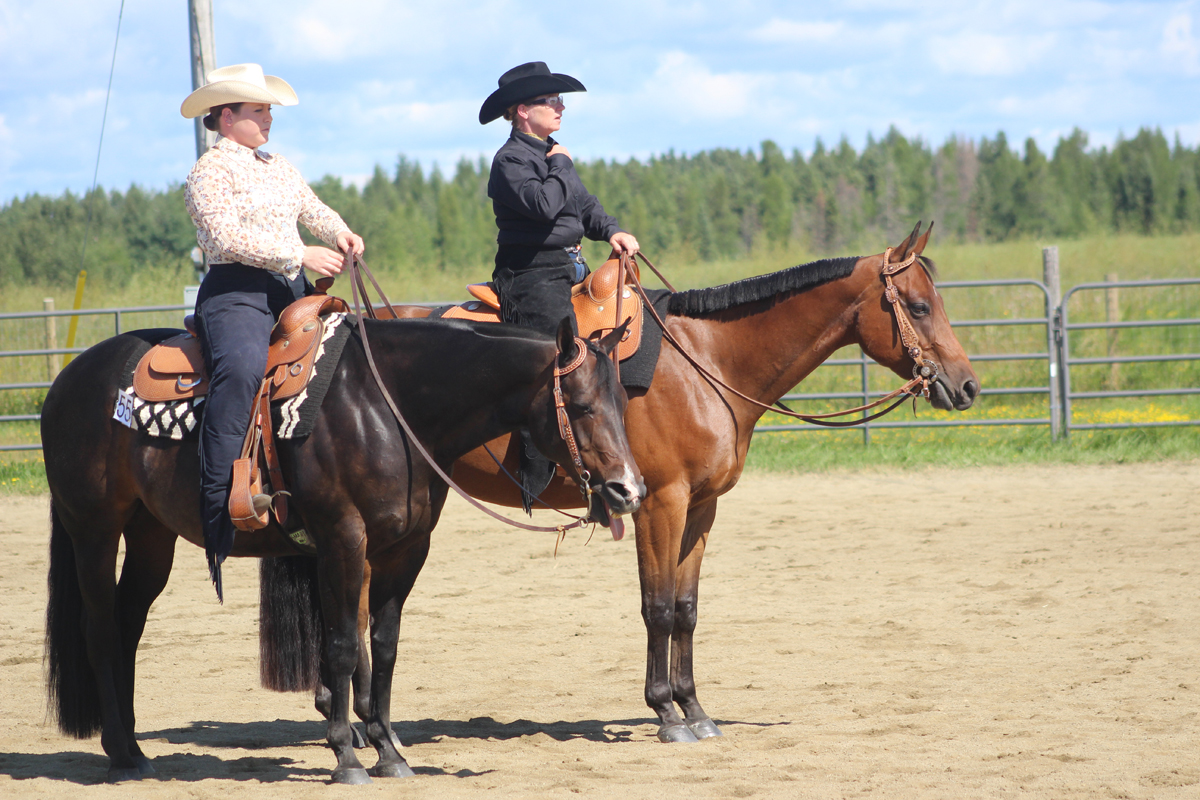 Horse show