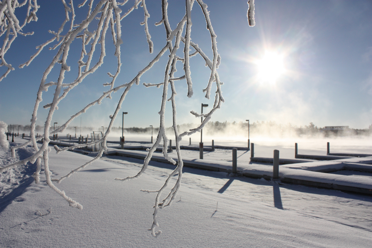 Frosty scene