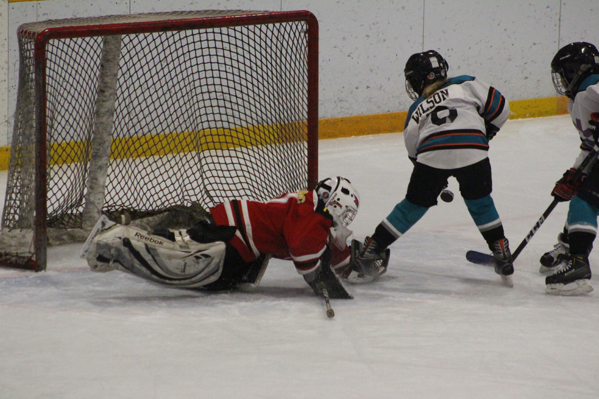 Lunging save