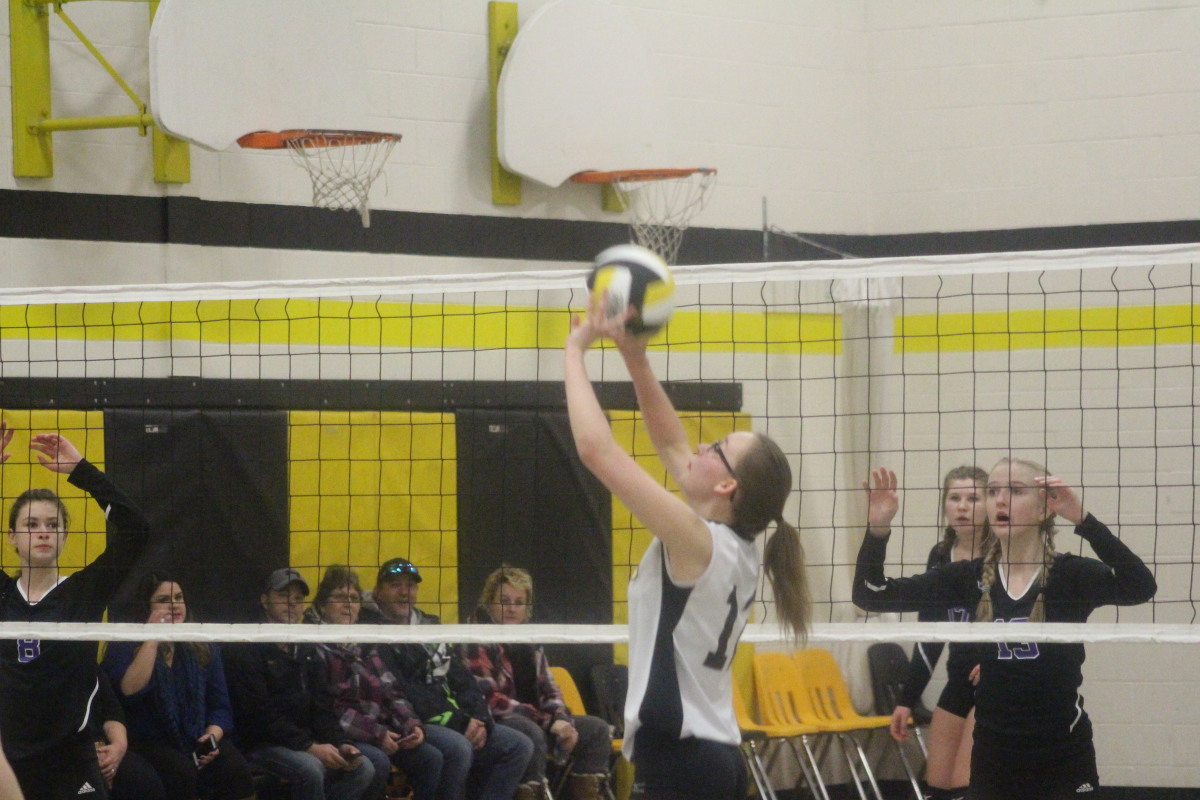 Setting the ball