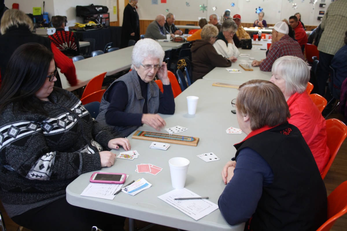 Cribbage action