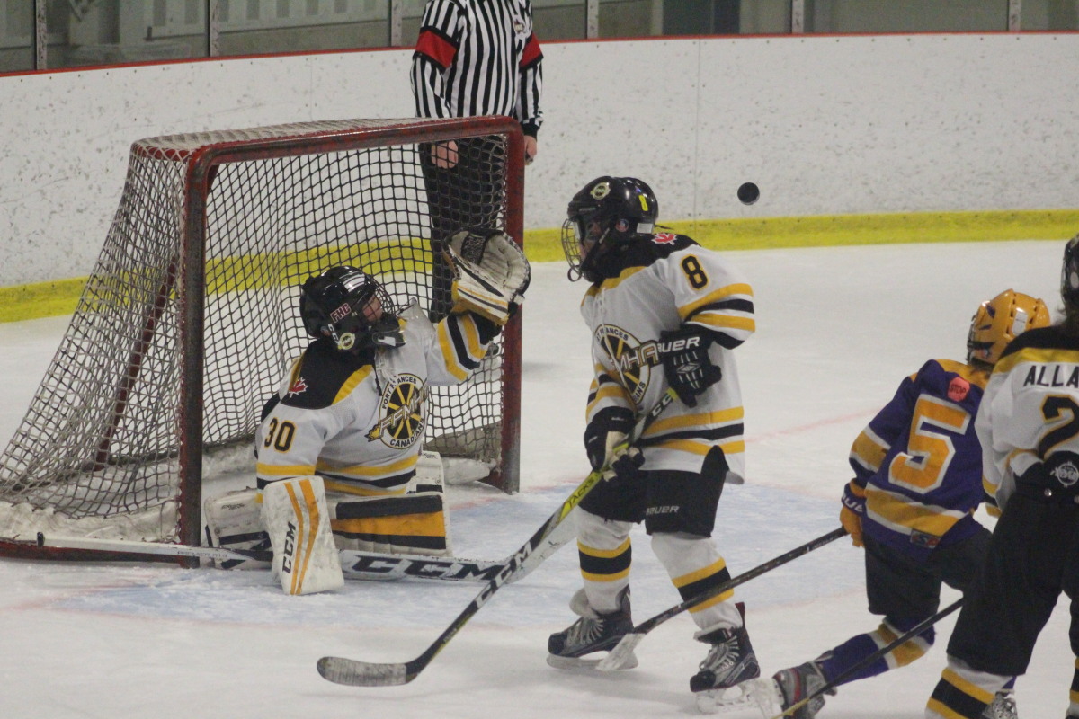 Airborne puck