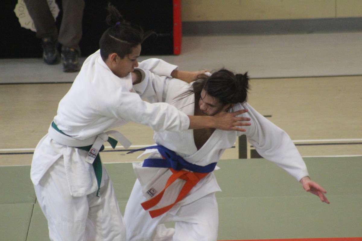 Judo bout