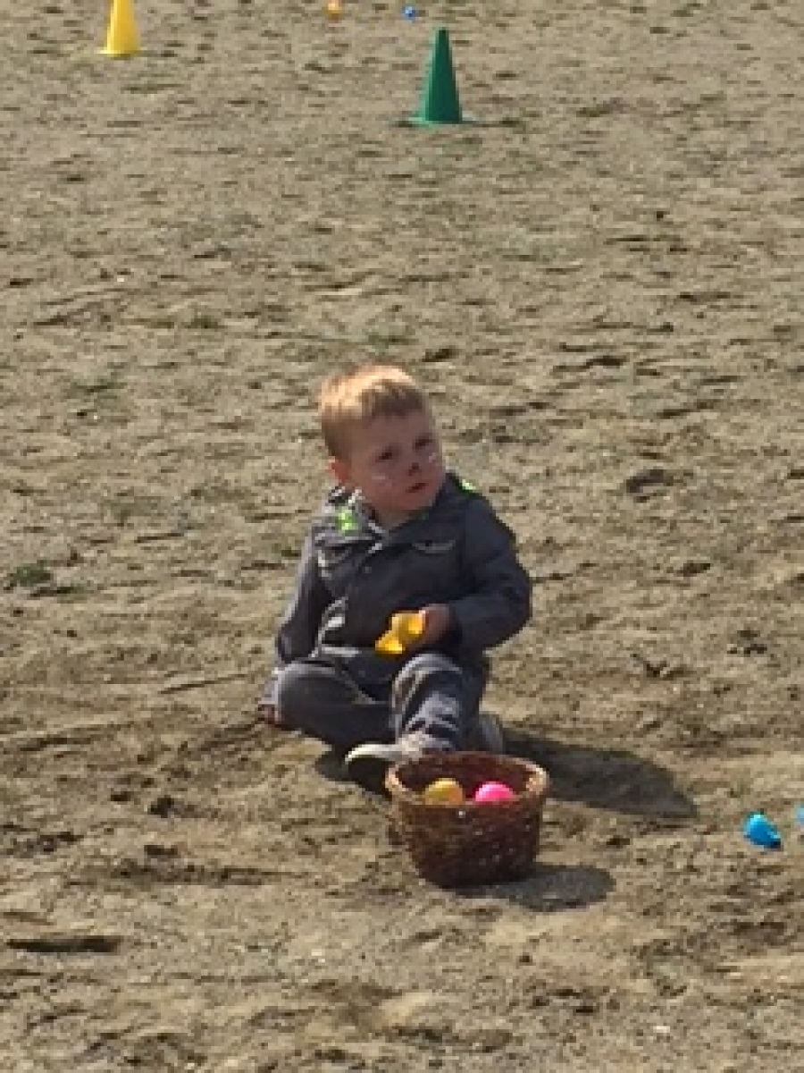 Egg hunt