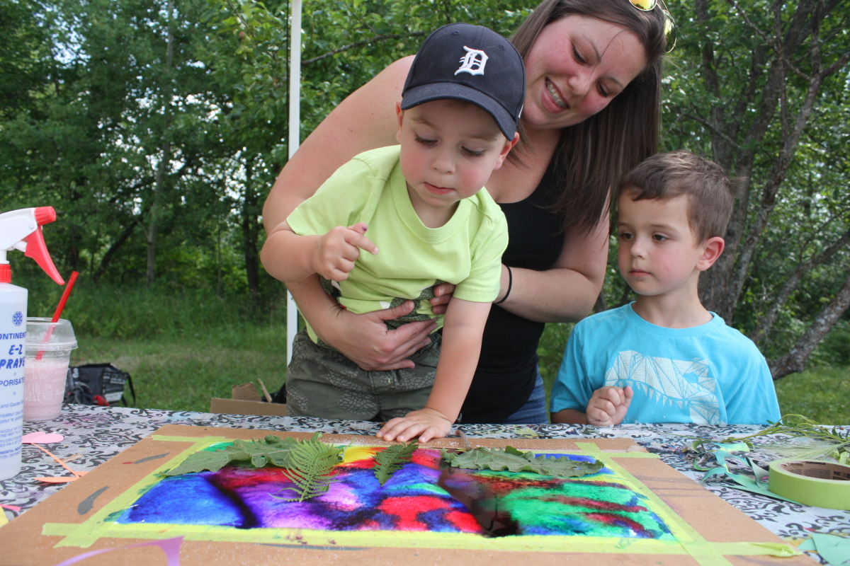 Co-operative creativity