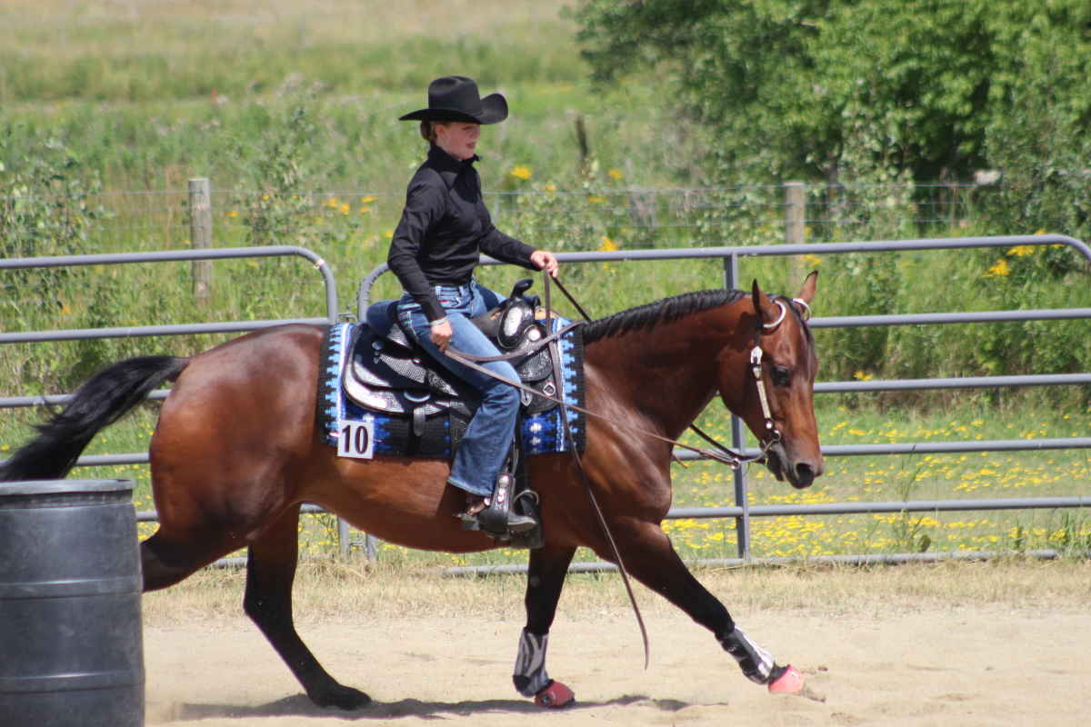 Horse show