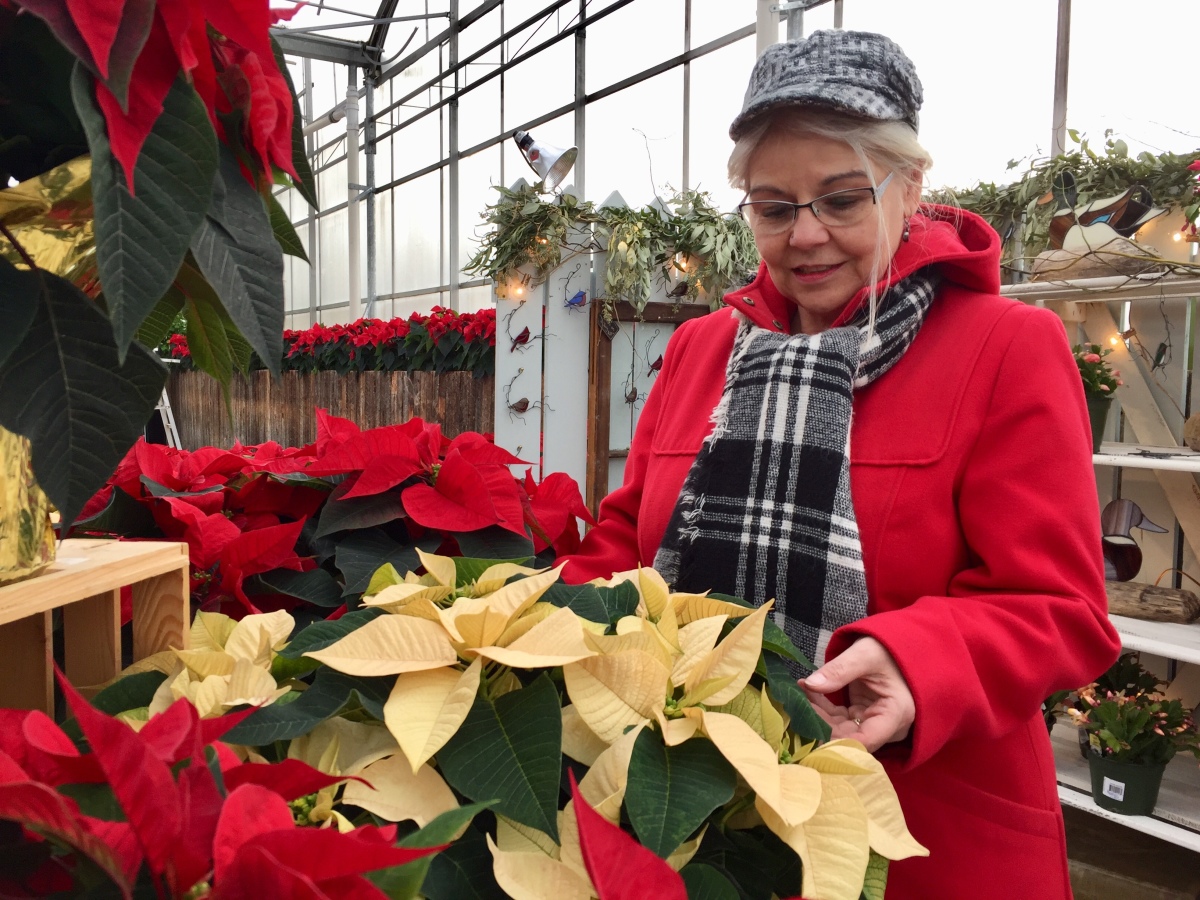 Festive foliage