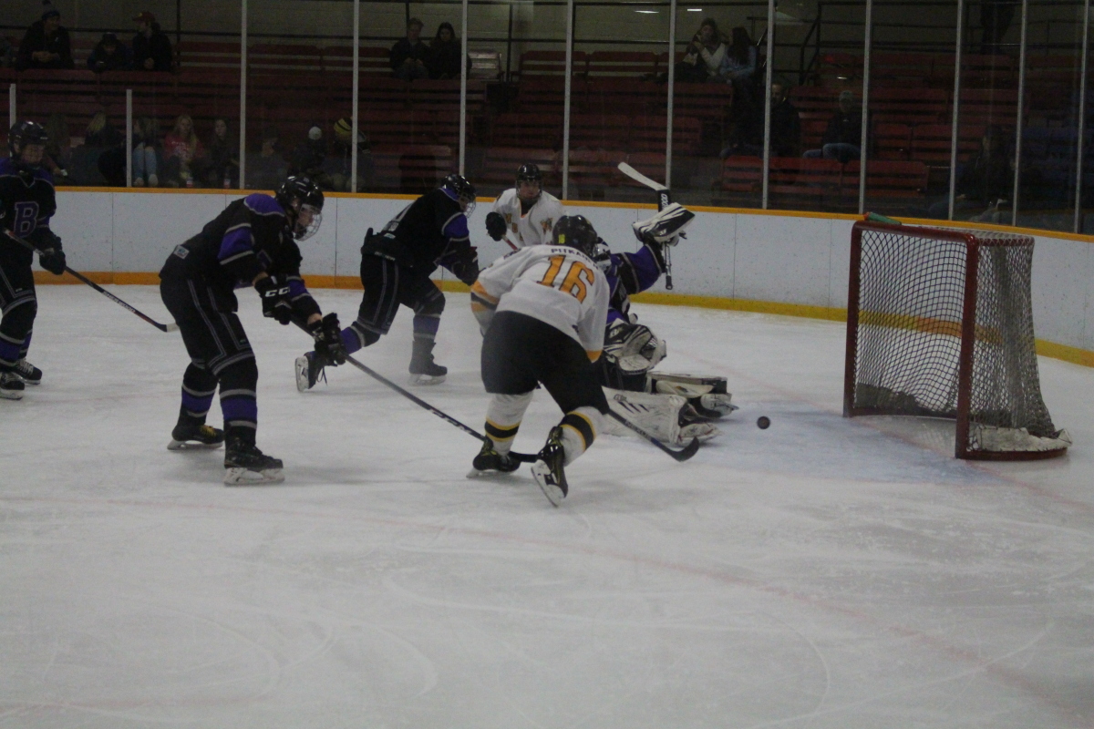 Open net