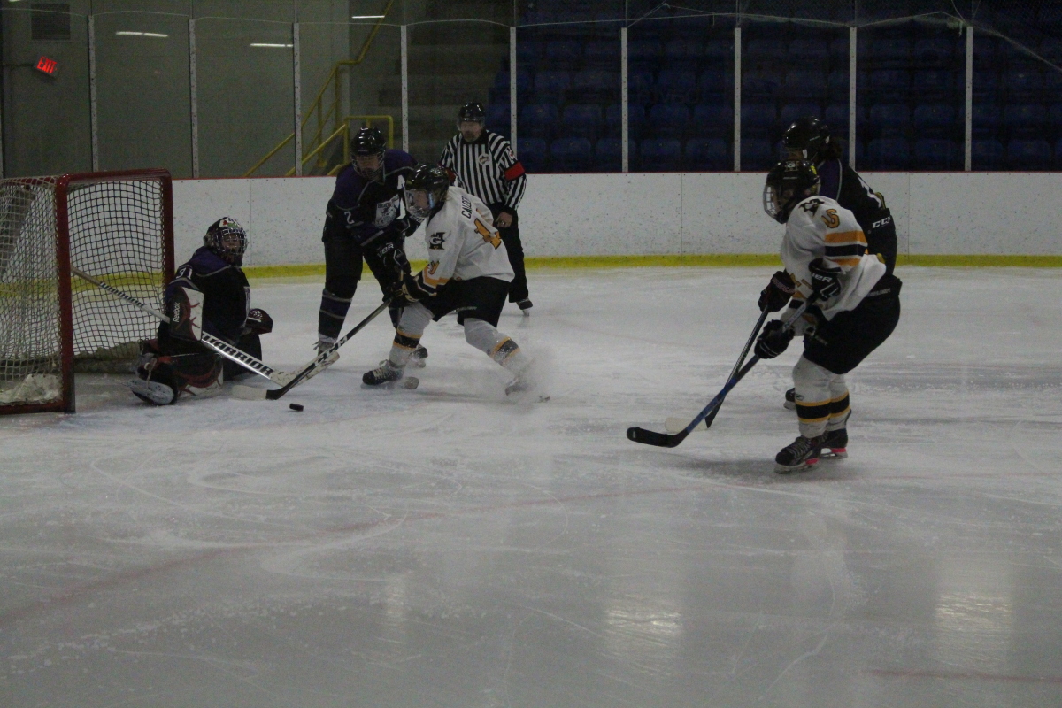 Puck in crease