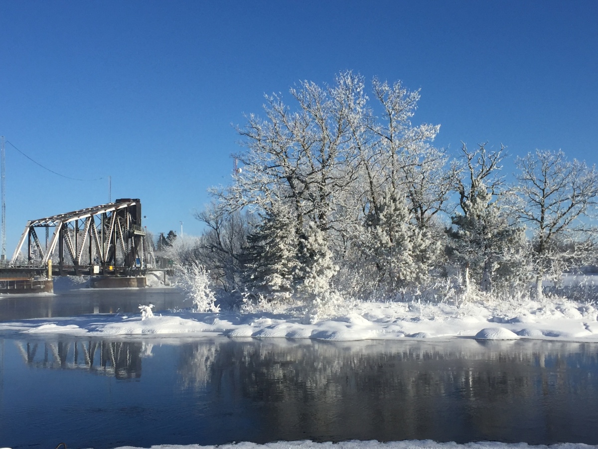 Frosty beauty