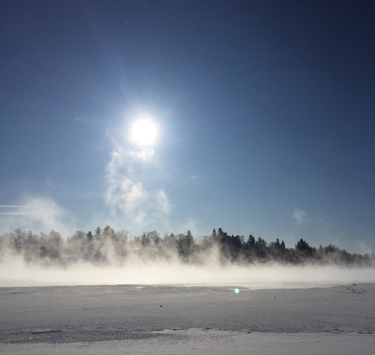 Frosty wonderland
