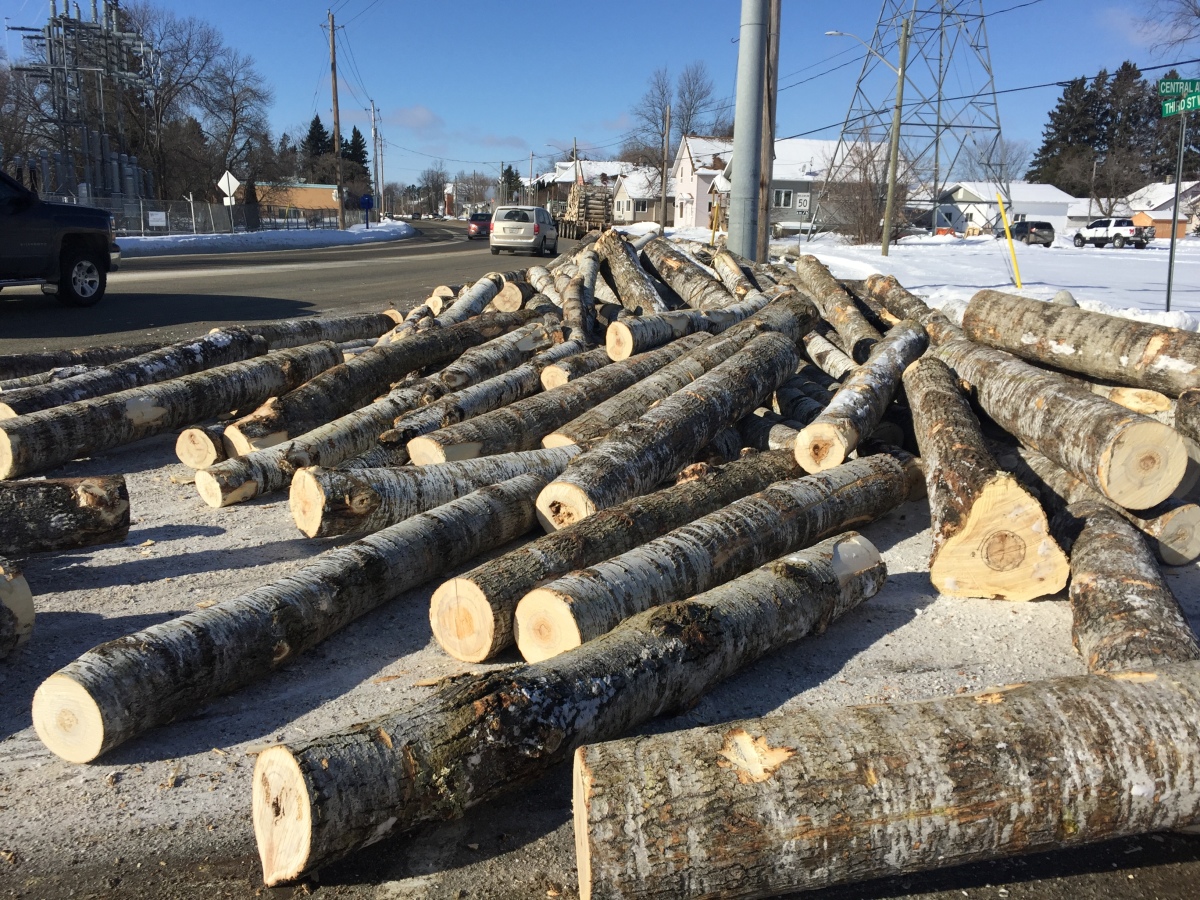 Spilled logs