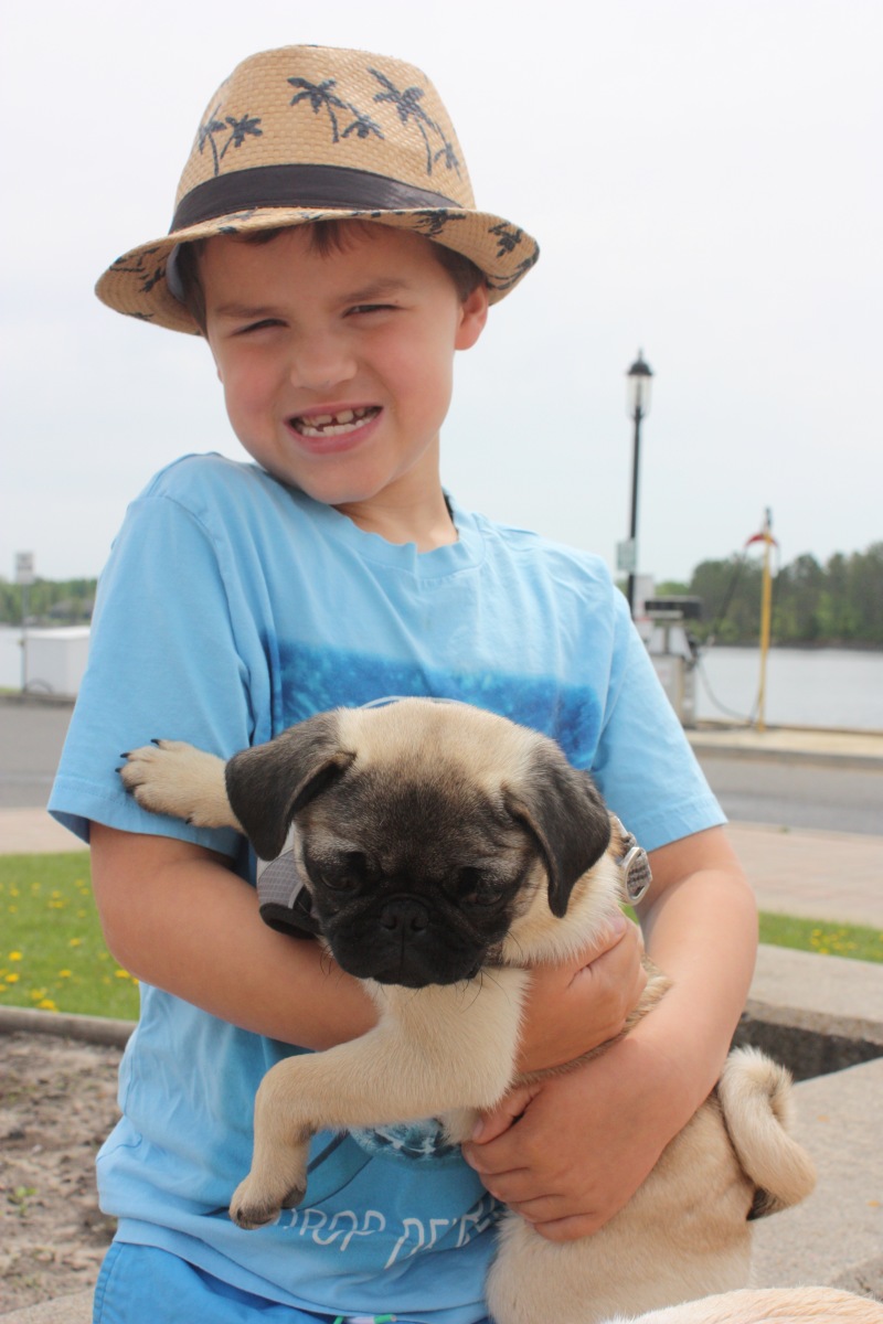 Holding puppy