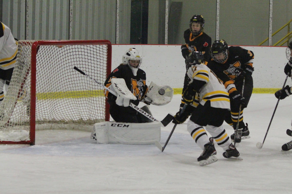 Flying puck