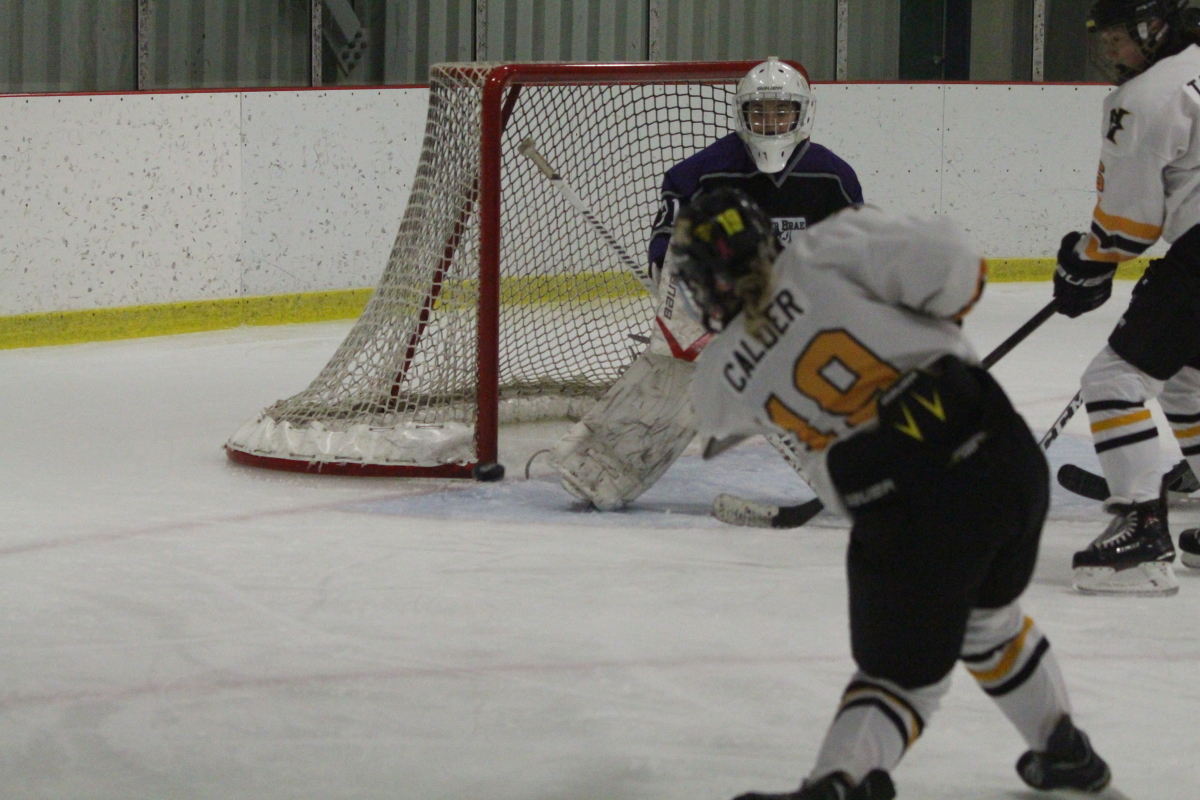 Shot on goal