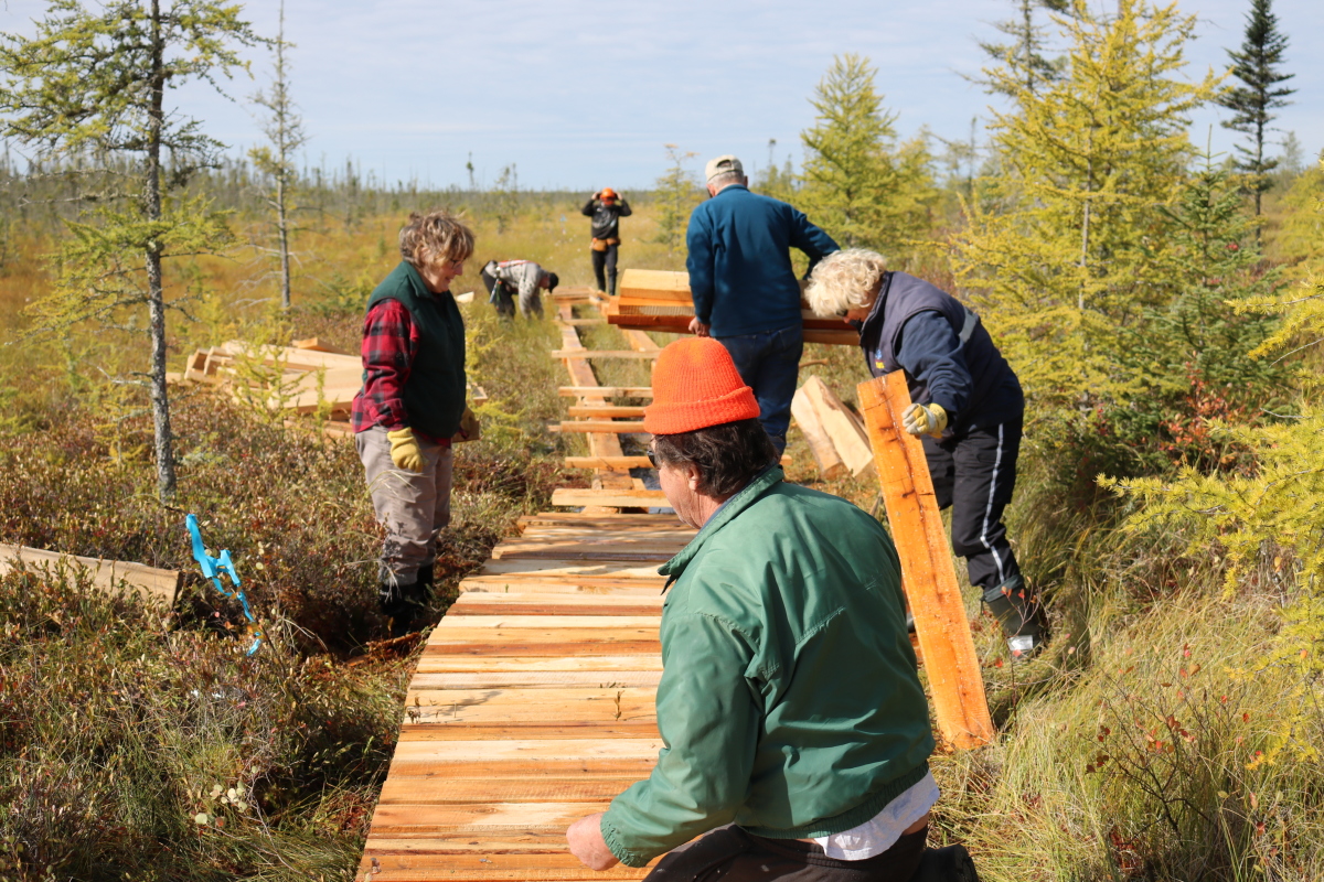 Peat trails lookback