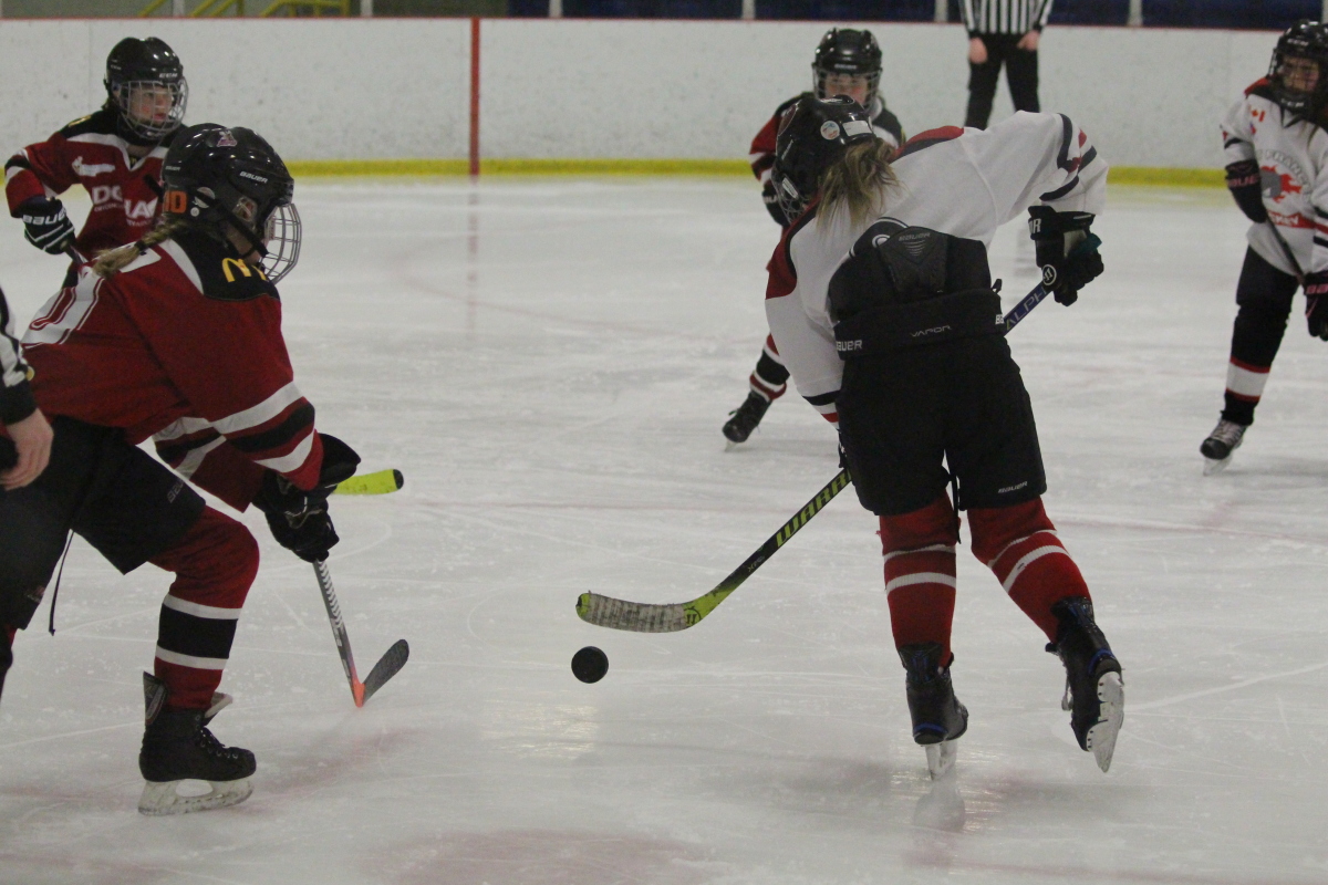 Bouncing puck
