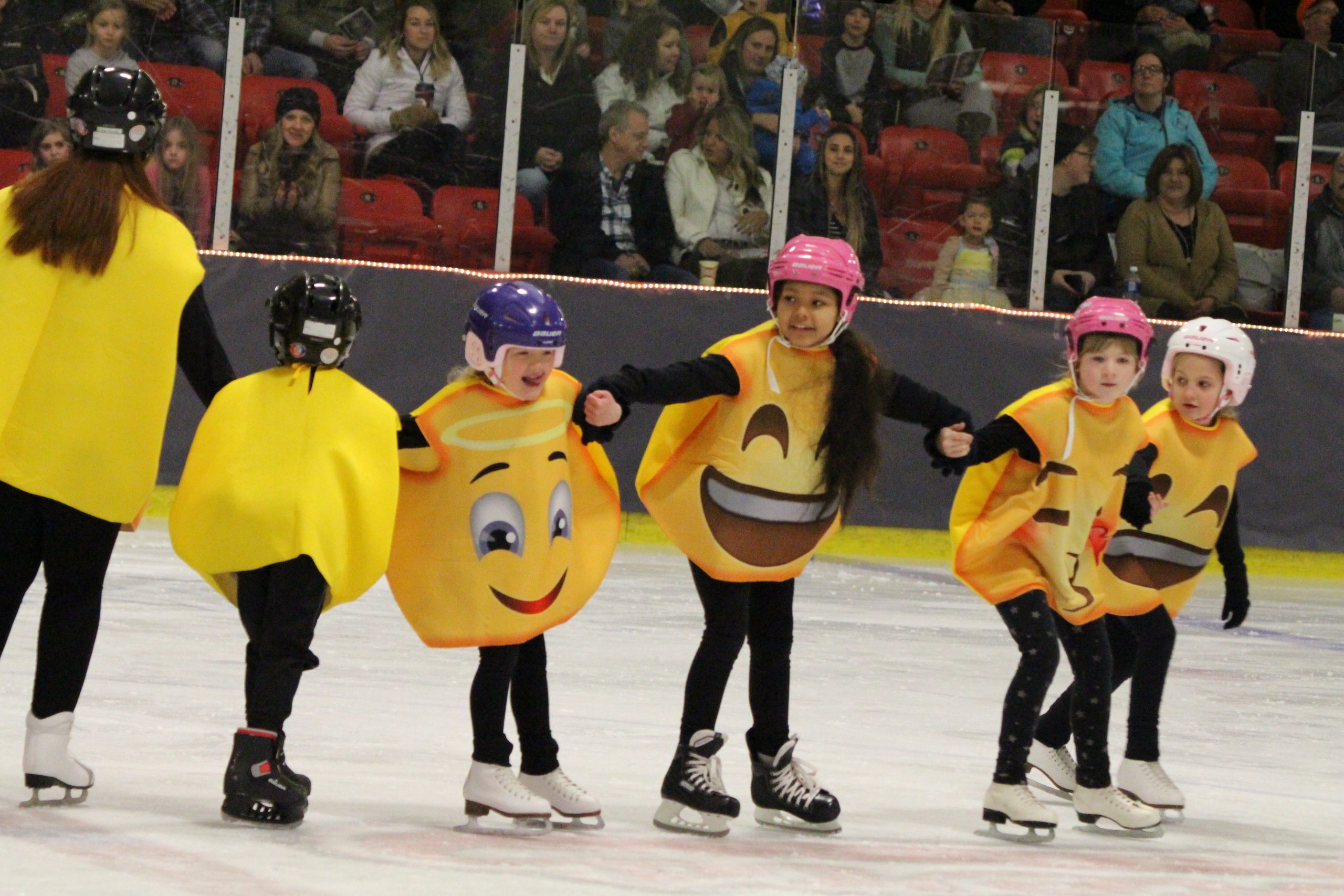 Ice show 4