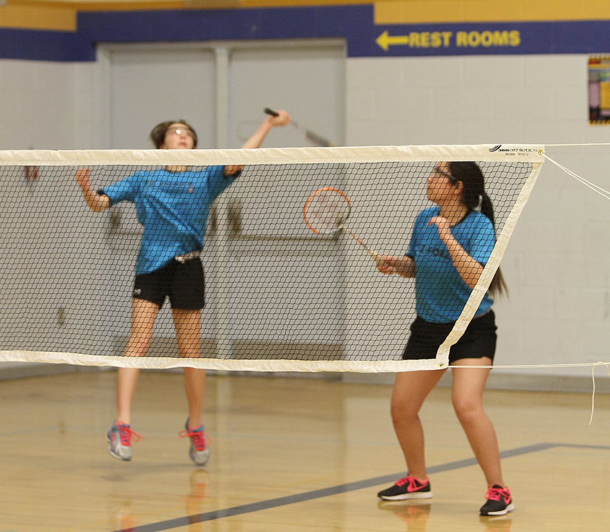 Owl badminton