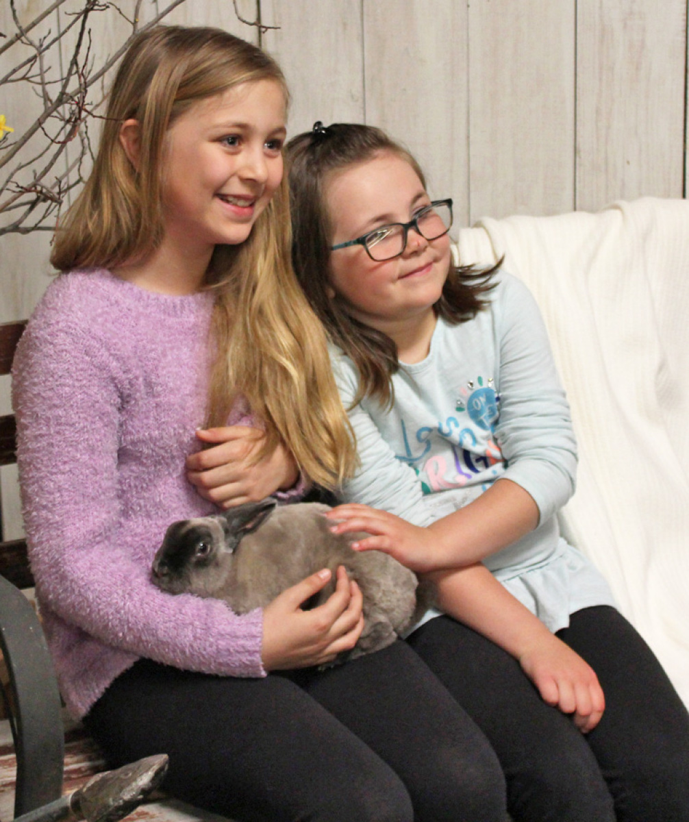 Bunny buddies