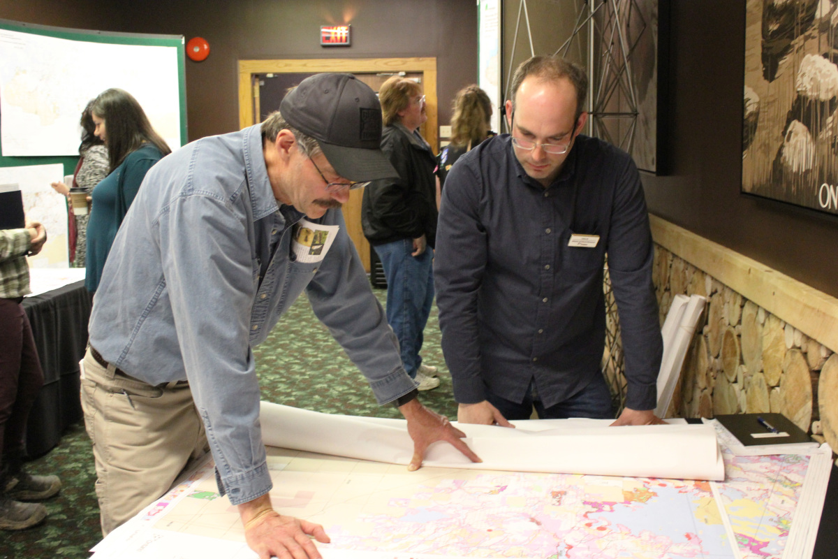 Forest planning