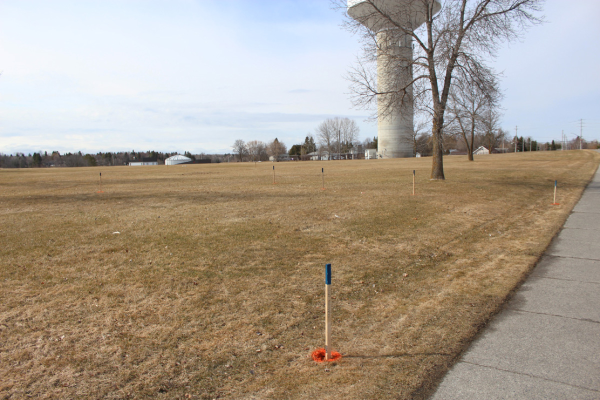 Future site