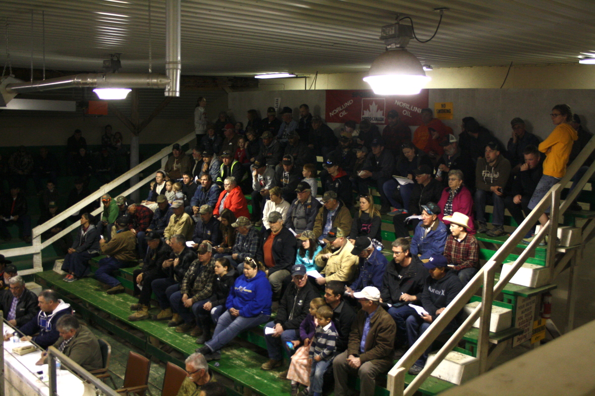 Sale crowd