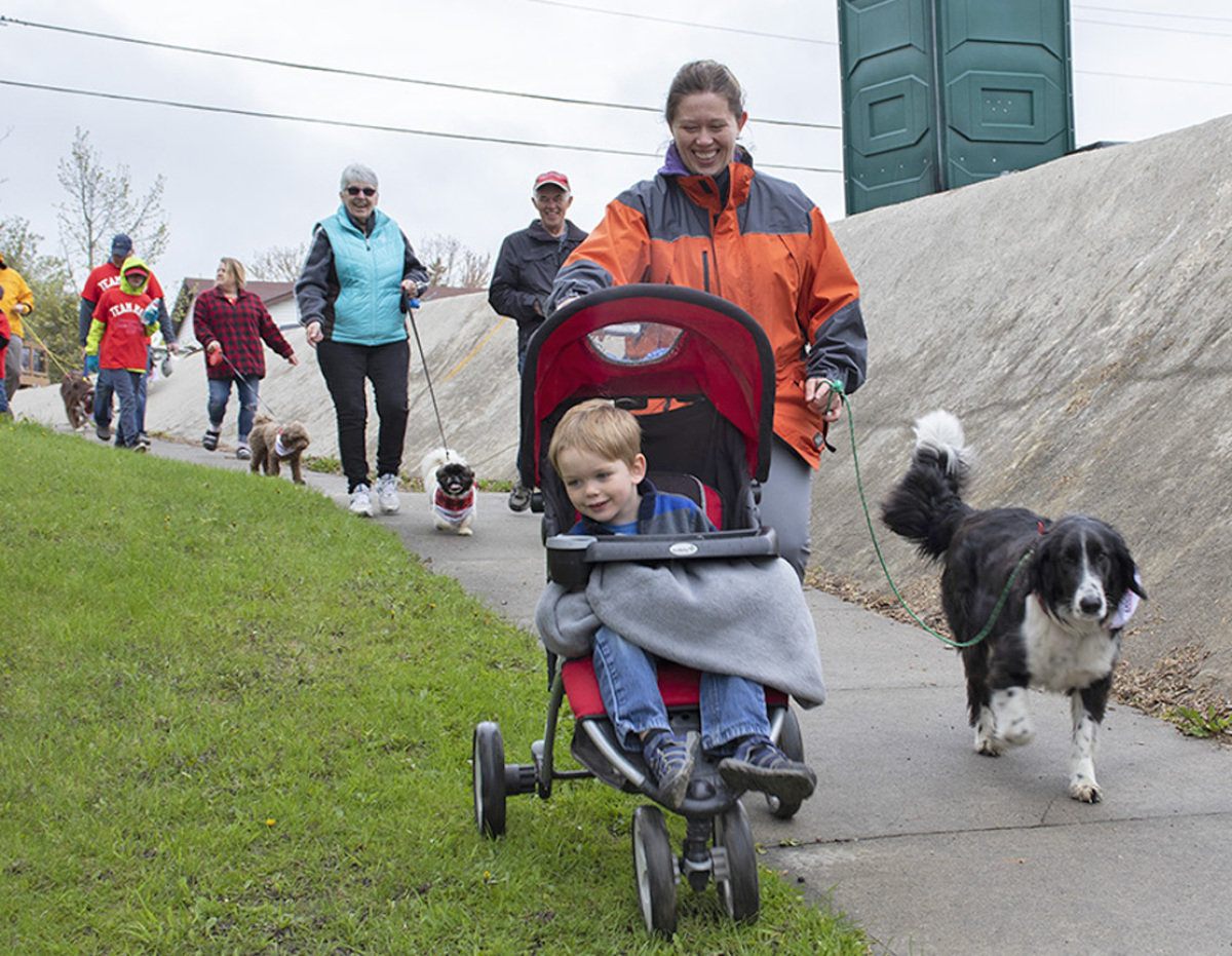 Dog walkers