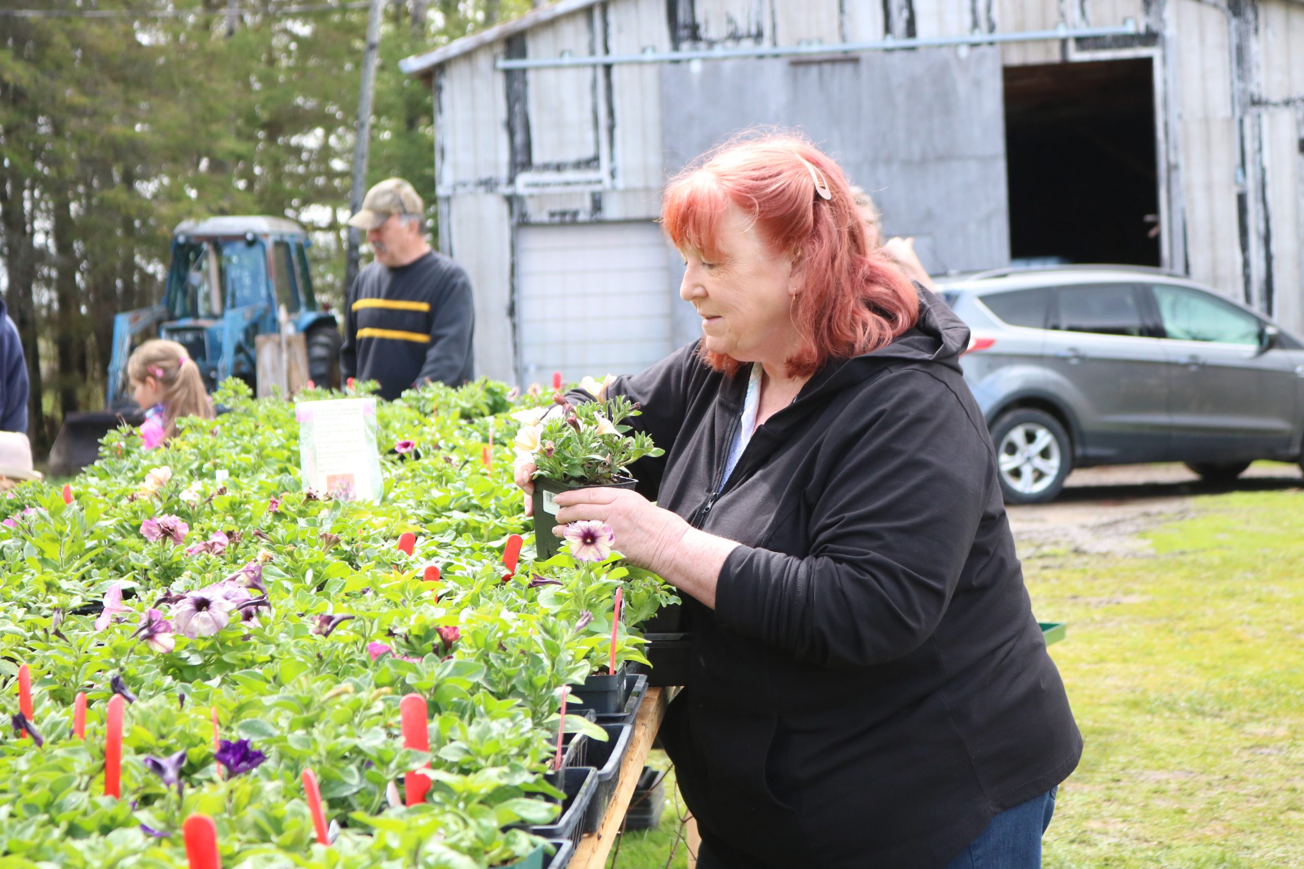 Picking plants