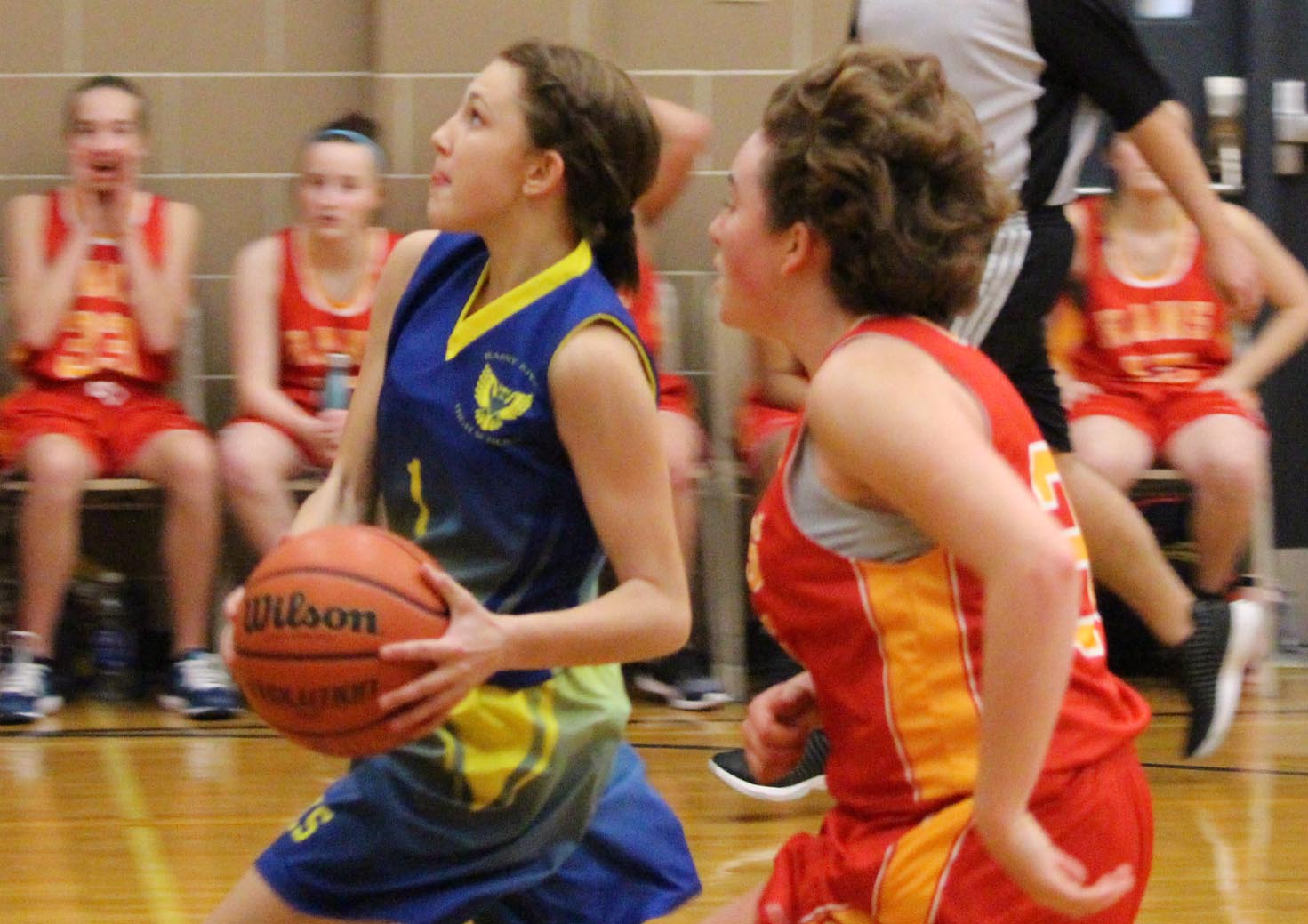 Owl layup