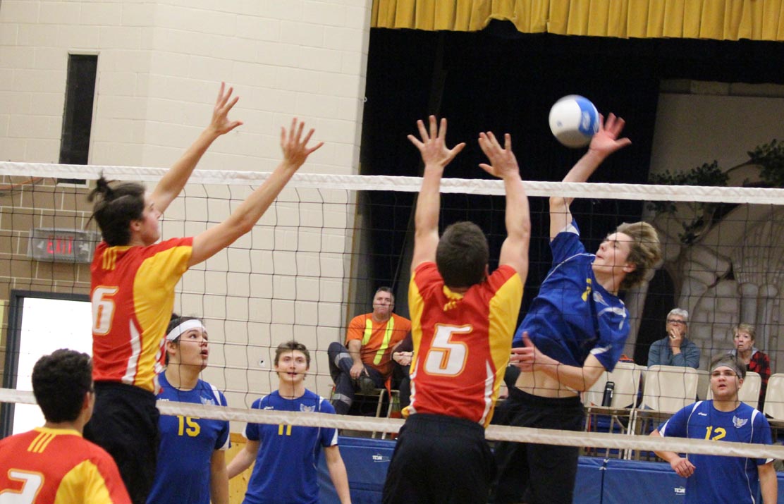 Owl spiker
